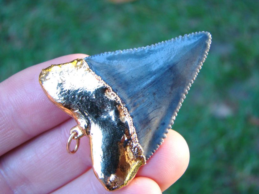 GOLD 18 ktpltd Great White shark tooth Megalodon Cousin  