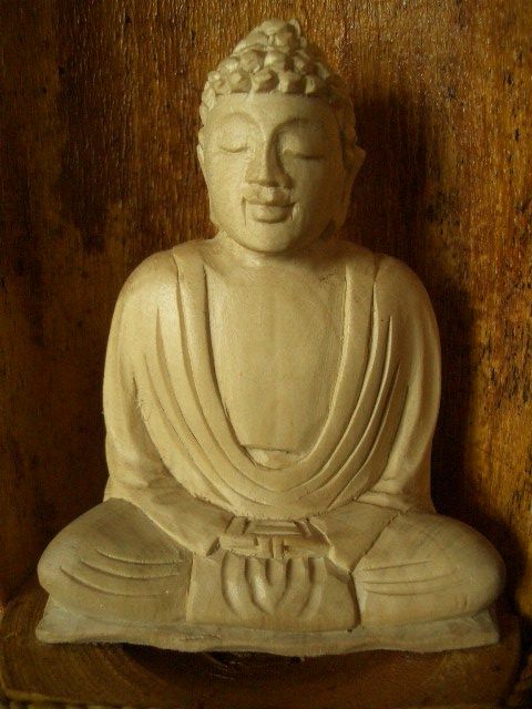 16 hand carved crocodile wood buddha in coconut husk descriptions