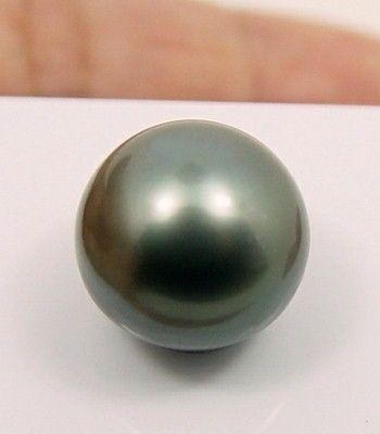 MASSIVE DARK GRAY TAHITIAN CULTURED PEARL   13.6x13.9mm  