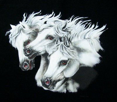 WILD ARABIAN ART HORSE SHOW SWEATSHIRT T SHIRT WS309  