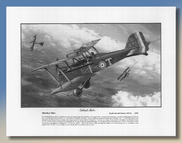 WWI Aviation Art RAF S.E.5A, Capt. George E.H. McElroy  