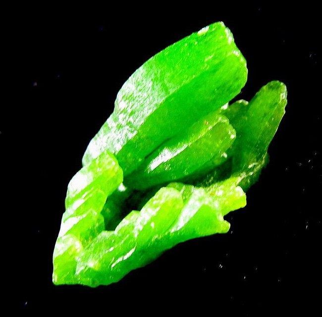 Pyromorphite Single Prism Crystal pygx2ie0240  