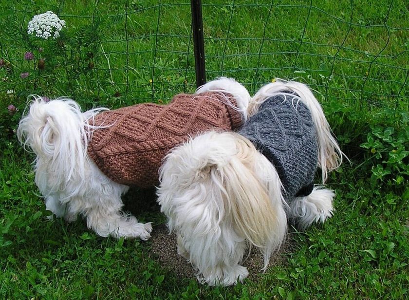 DOG SWEATER COAT HANDKNIT ORIGINAL MEDIUM LONG CANINE  