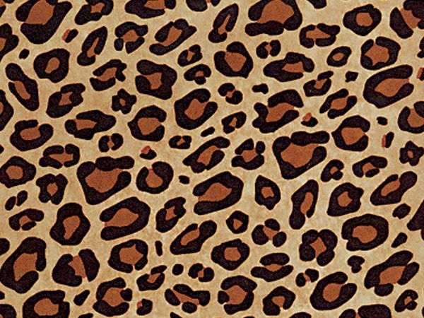 LEOPARD PRINT KRAFT Tissue Paper 20x30 (200 sheets)  