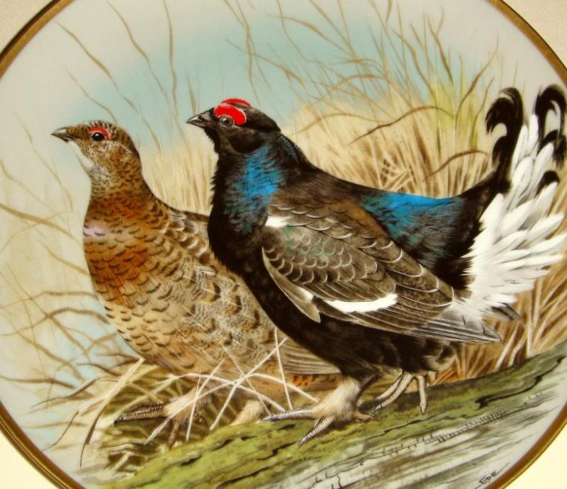 Basil Ede Game Birds Of The World BLACK GROUSE Plate  