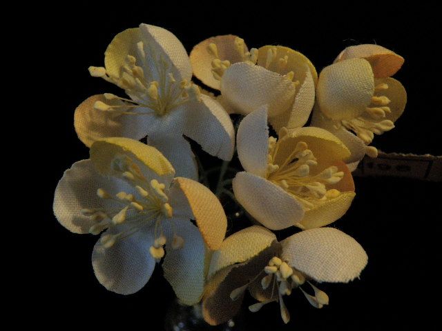   Millinery Flower 1 1/2 Cherry Blossom Lot of 6 for Hat Ivory Tea KU6