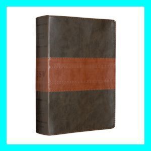 ESV Study Bible TruTone Forest/Tan Trail Design  