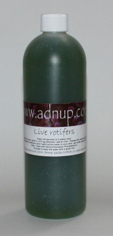 Live Rotifers 16oz btl   Clown Fish Breeding Coral Food  