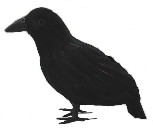 CROW Black life size decoration 20cm   Costume etc  