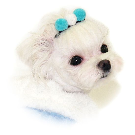 HAIR BOW POM POM dog barrette pet clip pin PUPPY ZZANG  