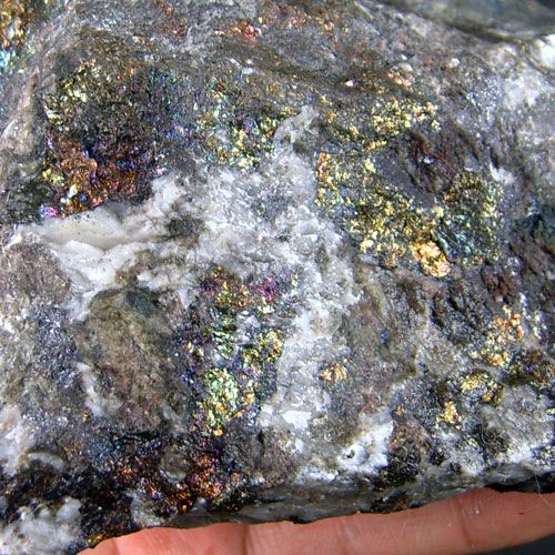 VEIN GOLD AND BORNITE ORE SPECIMEN 2x12683  