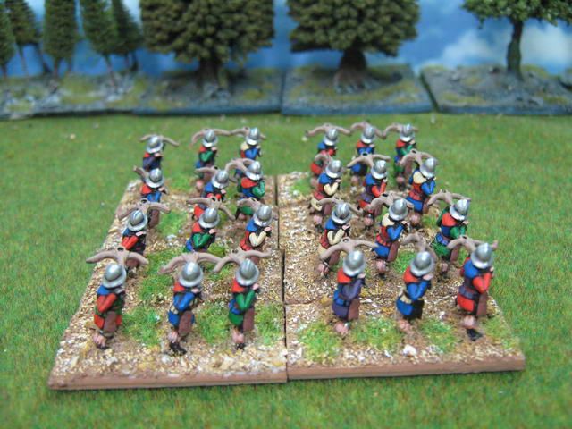 15mm Ancient DBMM DPS painted Medieval Army ME100  