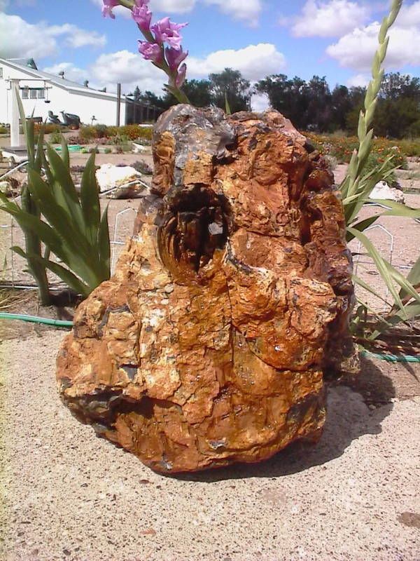 LANDSCAPE ROCK PETRIFIED WOOD DAKOTA ROCK #498 110 LBS.  