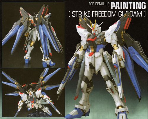 GUNDAM MG Master Grade 1/100 Strike Freedom Full Burst  