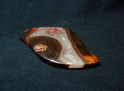 Condor Agate Collectors Cabochon Patagonia Agate WoW  