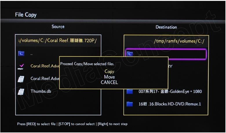 File Management,copy/move