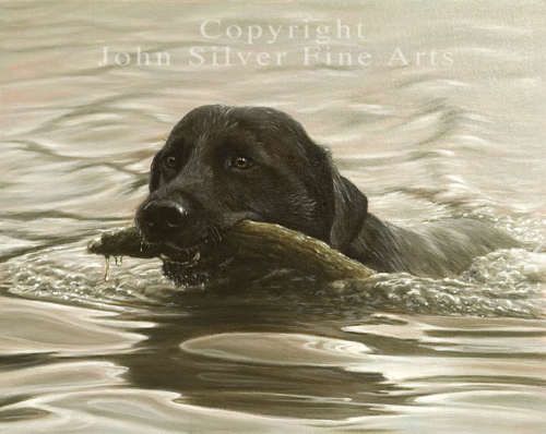 BLACK LABRADOR RETRIEVER LTD ED PRINT   JOHN SILVER  