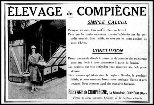 PUBLICITE ELEVAGE DE COMPIEGNE POULES PONDEUSES OEUFS AD 1923 9d 