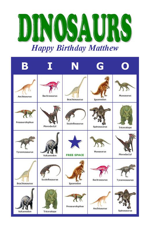Dinosaurs Birthday Party Game Bingo Cards  