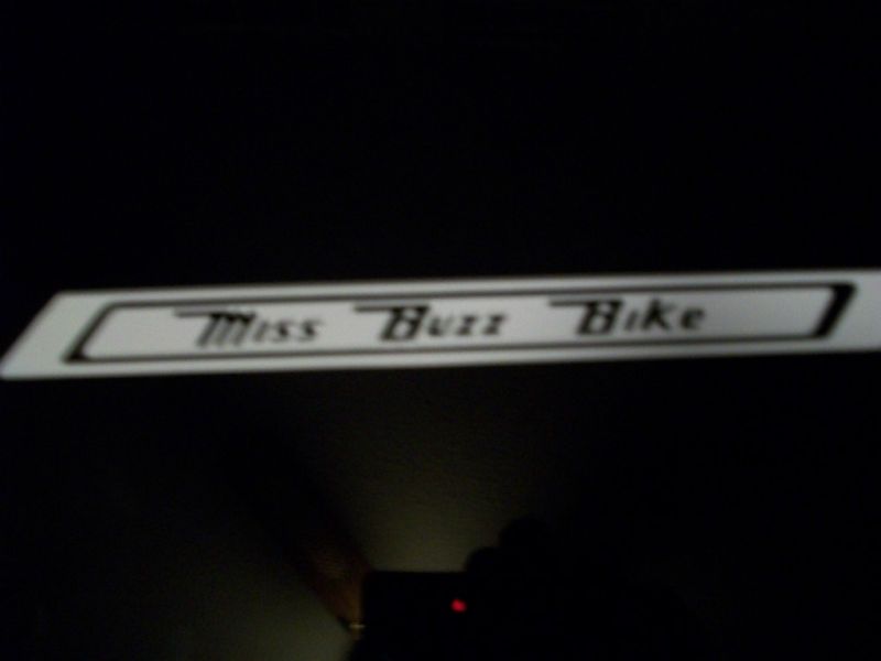 Vintage Western Flyer Chain Guard Decal Miss Buzz Bike  