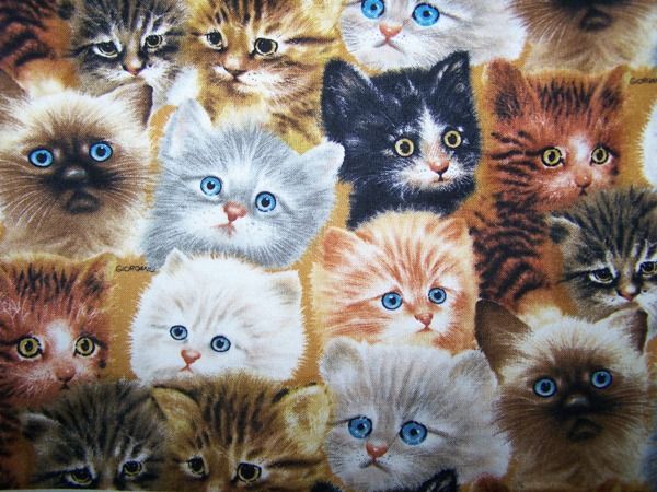 Kitten Faces Cats Quilted Cover KitchenAid Mixer NEW  