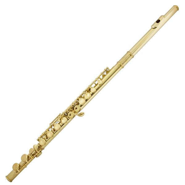 NEW GOLD LACQUER C FLUTE Split E +Case +Care Kit +$39 Tuner   Teachers 