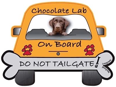 LABRADOR RETRIEVER do not tailgate magnet CHOCOLATE LAB  