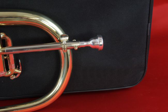   Bb Flugelhorn with Deluxe Case and Mouthpiece, New, SEE VIDEO  