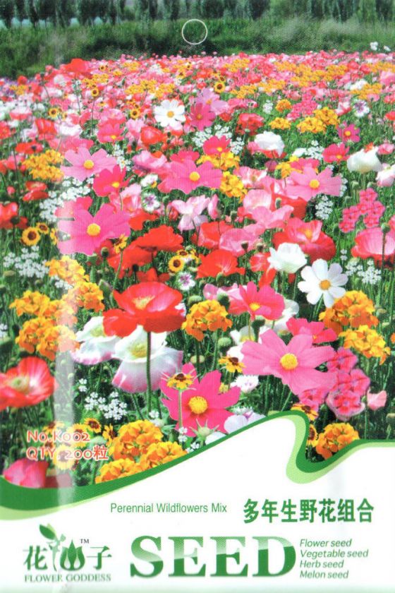 K002 Perennial Wild flowers Mix Seed Pack x 200 Seeds  